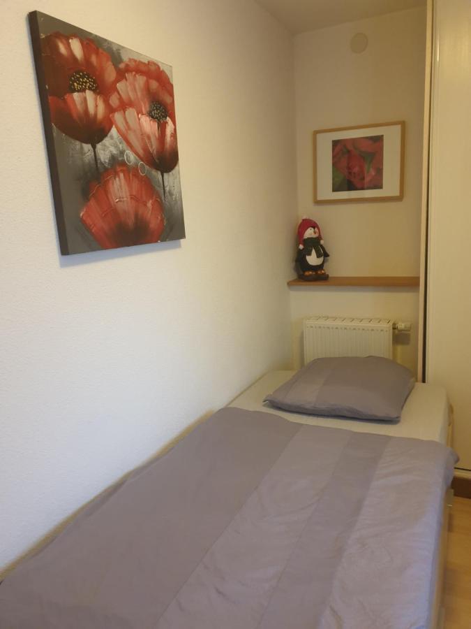 Appartement Proche D'Europa Park/Marches De Noel Rhinau Εξωτερικό φωτογραφία