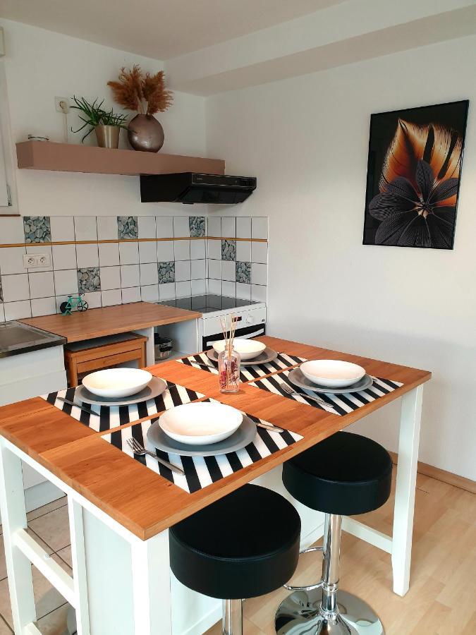 Appartement Proche D'Europa Park/Marches De Noel Rhinau Εξωτερικό φωτογραφία