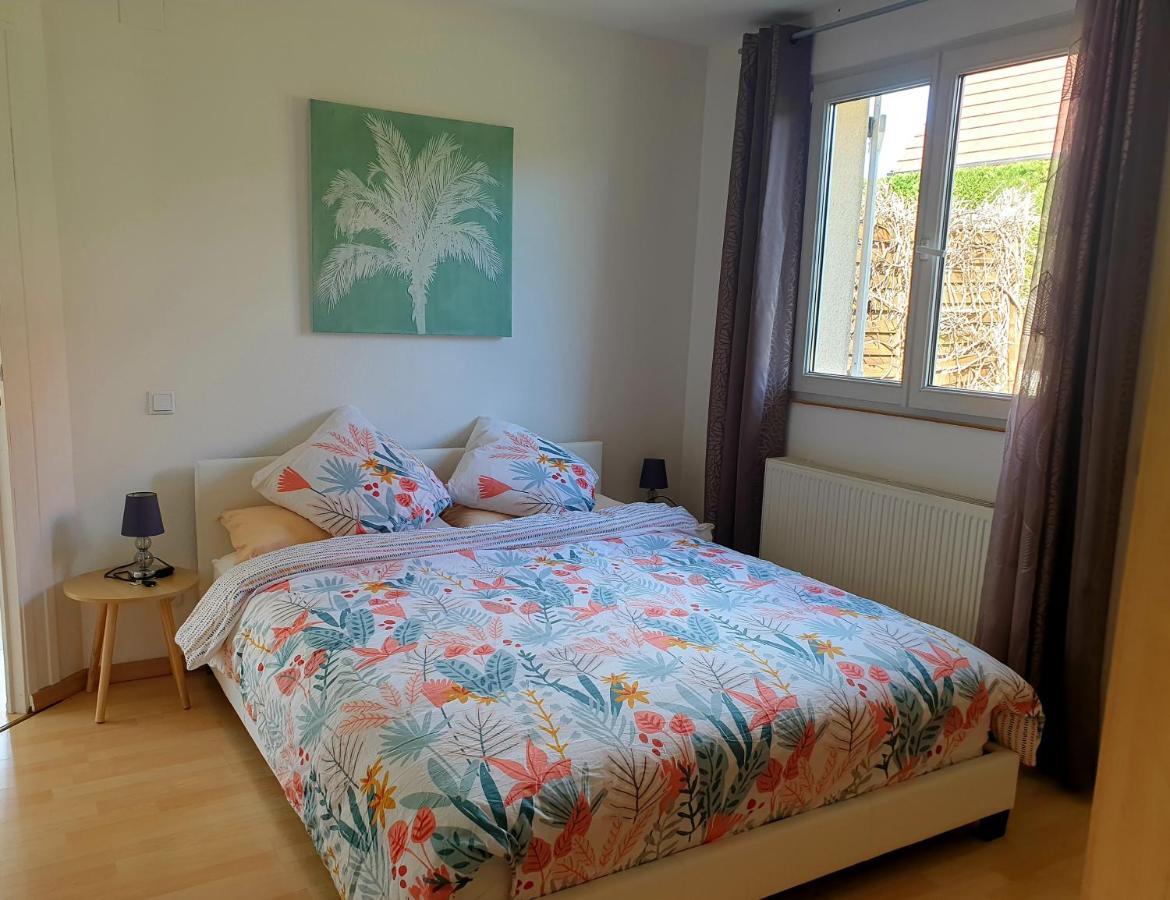 Appartement Proche D'Europa Park/Marches De Noel Rhinau Εξωτερικό φωτογραφία
