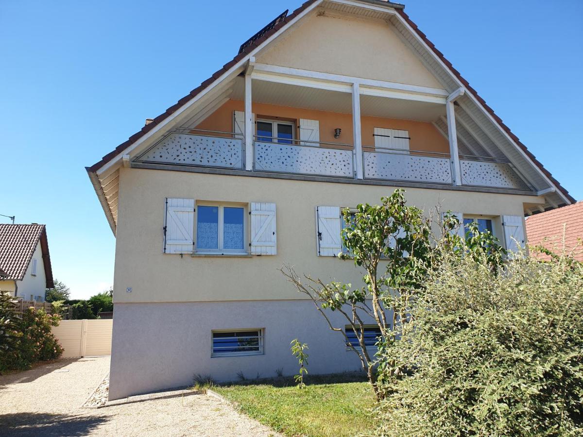 Appartement Proche D'Europa Park/Marches De Noel Rhinau Εξωτερικό φωτογραφία